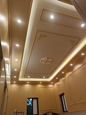 Mẫu trần nhựa đẹp
